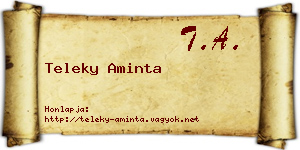 Teleky Aminta névjegykártya